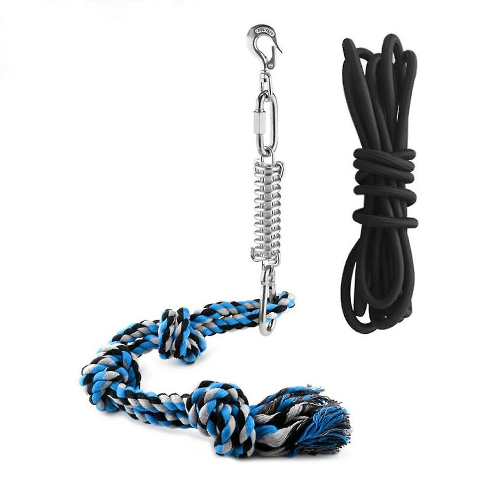 Spring pole dog rope toy