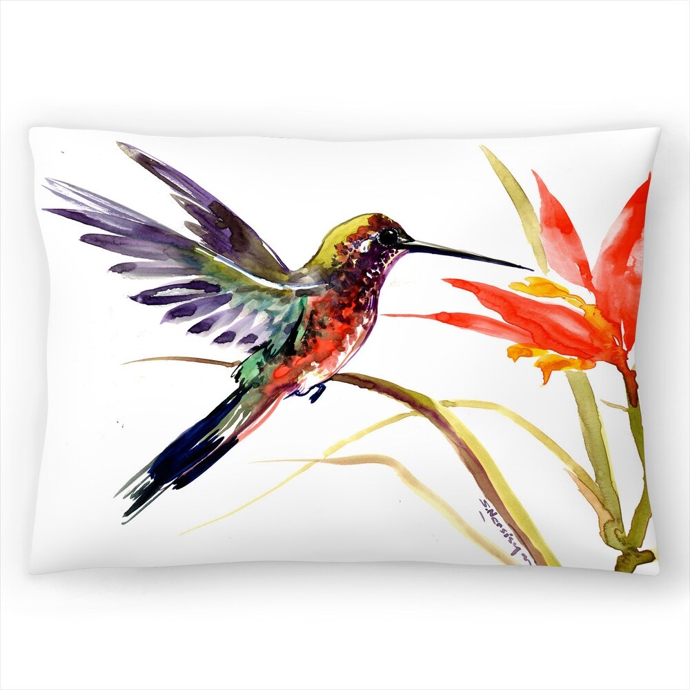 Hummingbird 2   Decorative Throw Pillow