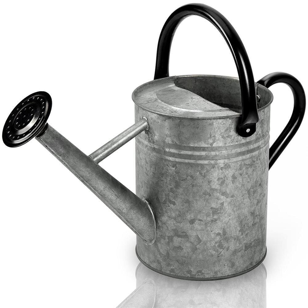 Dyiom Vintage 1 Gal. Rainwater Harvesting System Galvanized Metal Watering Can with Removable Spout B07V9MFQQZ