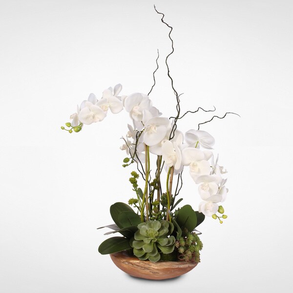 Real Touch Phalaenopsis Silk Orchid with Curly Willow in Natural Teak Wood Bowl