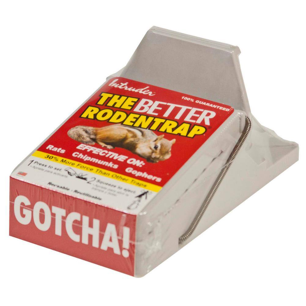 Intruder The Better Rodent Trap (Single) 16500