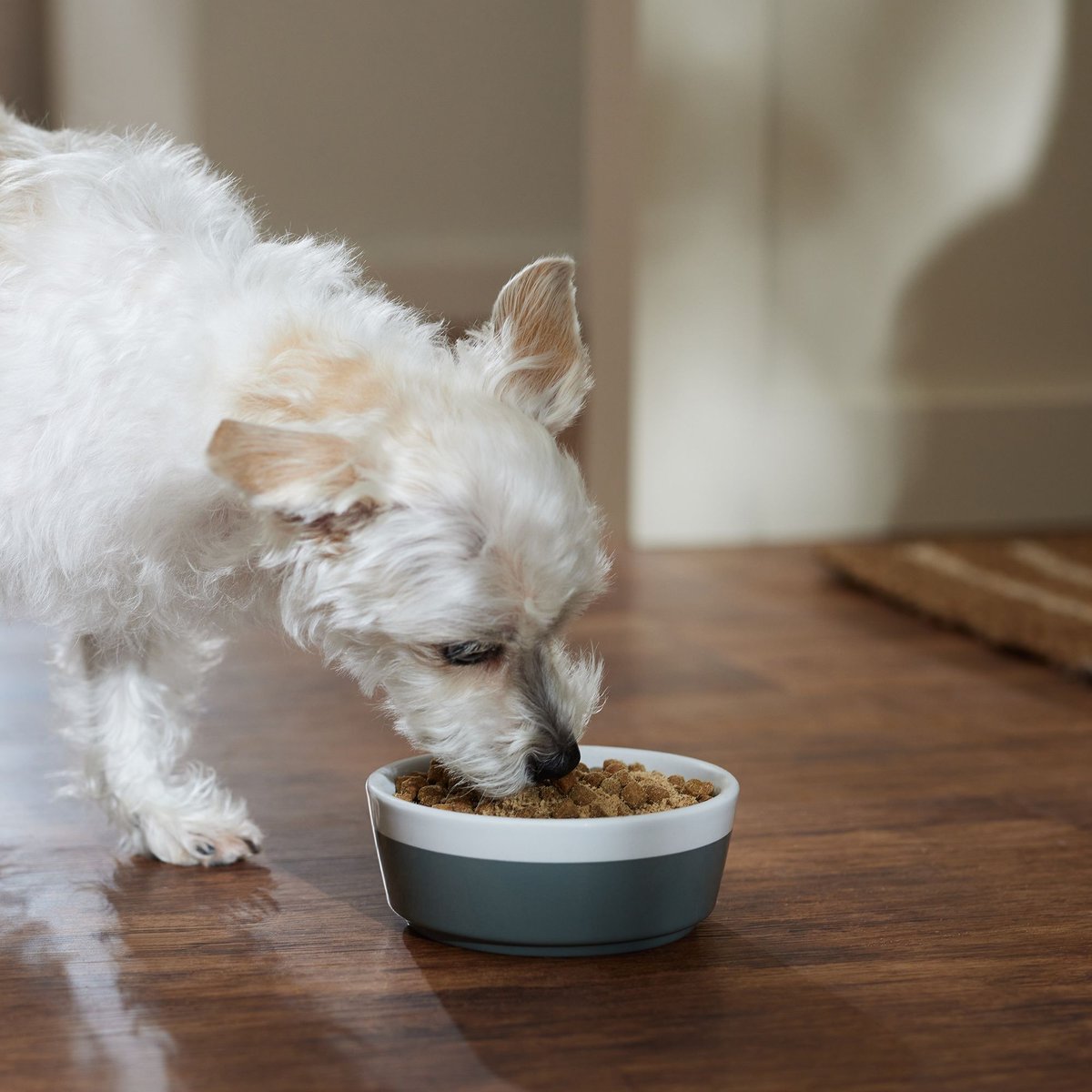 Stella and Chewy's Marie's Magical Dinner Freeze-Dried Raw Dust Grass-Fed Beef Dog Food Topper