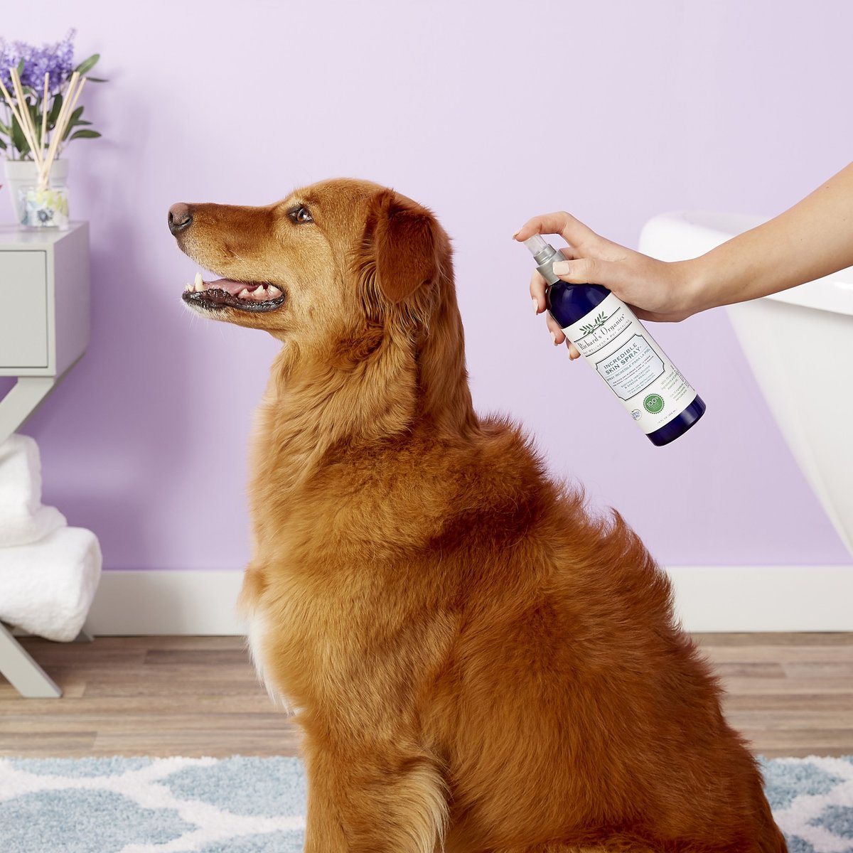 Richard's Organics Incredible Skin Spray for Dogs