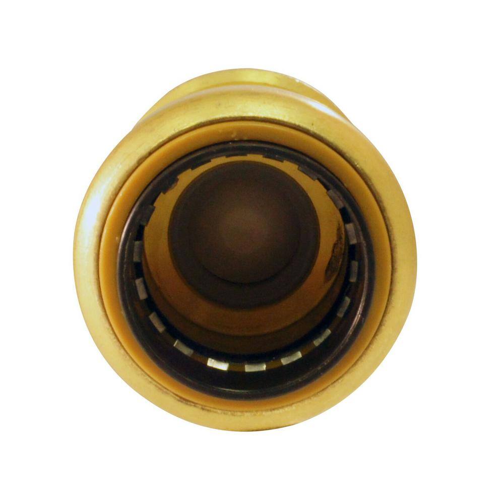 Tectite 34 in. Brass Push-to-Connect Check Valve FSBCV34