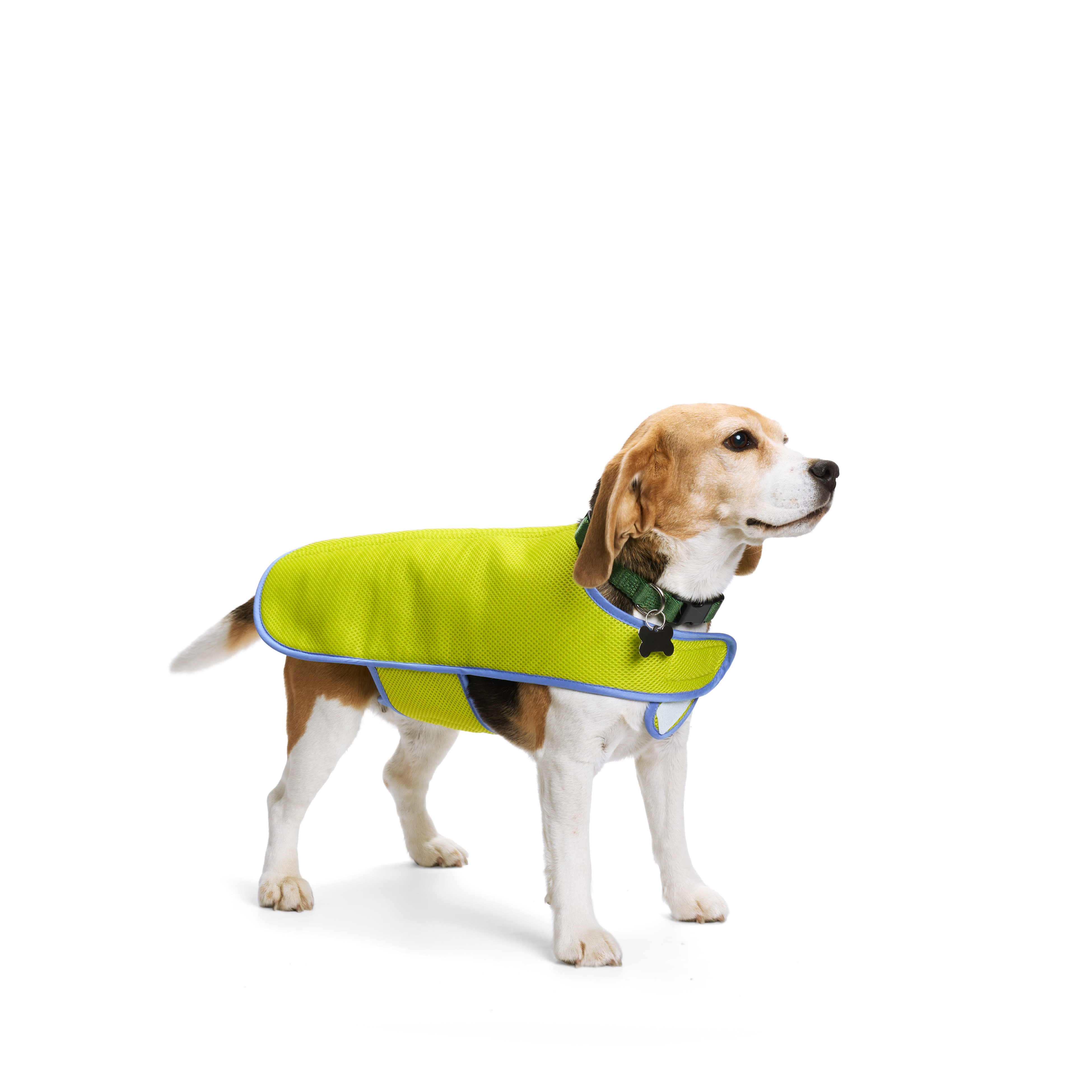 YOULY Yellow Cooling Dog Vest， X-Small