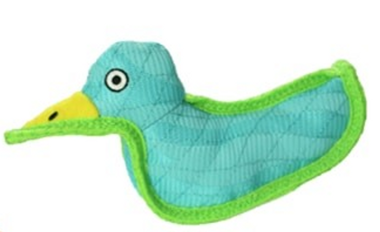 DuraForce Duck Tug Dog Toy， Blue/Green