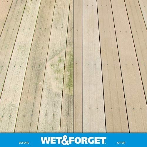 Wet and Forget 10587 1 Gallon Moss， Mold and Mildew Stain Remover