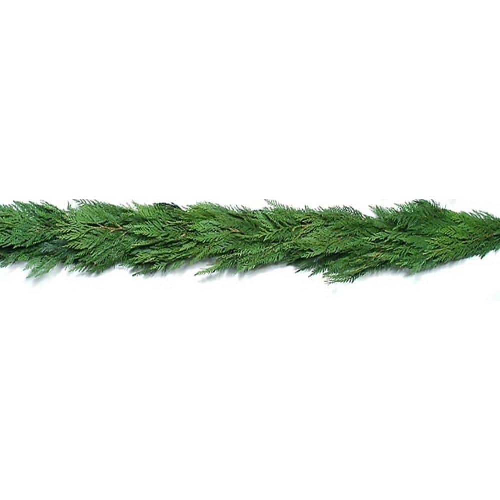 Cottage Farms Direct 20 ft. Fresh Evergreen Cedar Christmas Garland (Live) HD9002