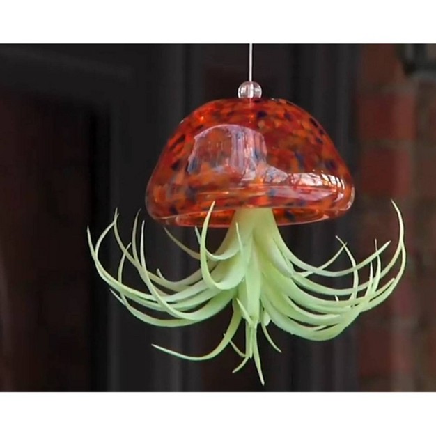 Glass Jellyfish With Faux Plant Coral Ultimate Innovations