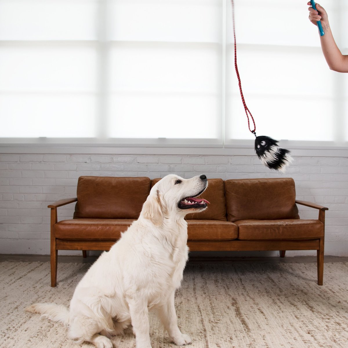 Outward Hound Tail Teaser with Refill Dog and Cat Teaser Toy