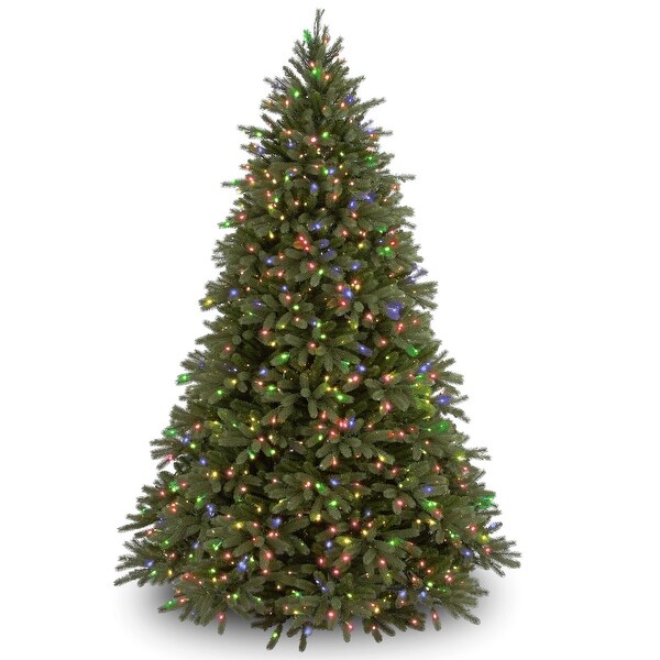 National Tree Company 6.5 ft. Jersey Fraser Fir Tree with Clear Lights