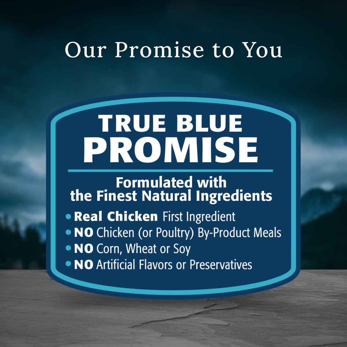 Blue Buffalo Blue Wilderness Premier Blend with Meaty Cuts Chicken Large Breed Adult Dry Dog Food， 24-lb bag