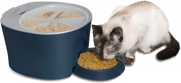 PetSafe 6-Meal Automatic Dog and Cat Feeder