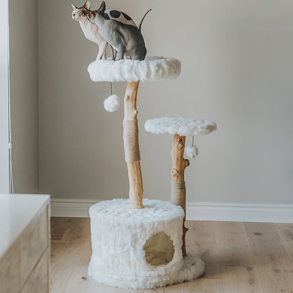 Mau Lifestyle Alba 43-in Modern Wooden Cat Tree and Condo