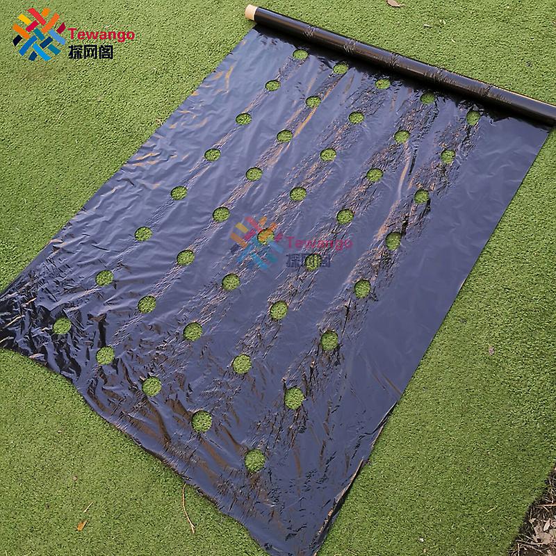 Born Pretty Tewango Biodegradeable Weed Control Mulch Film Allotments Veg Patch Borders 0.95m X 10m/20/50m Ground Cover 0.02mm Thickness