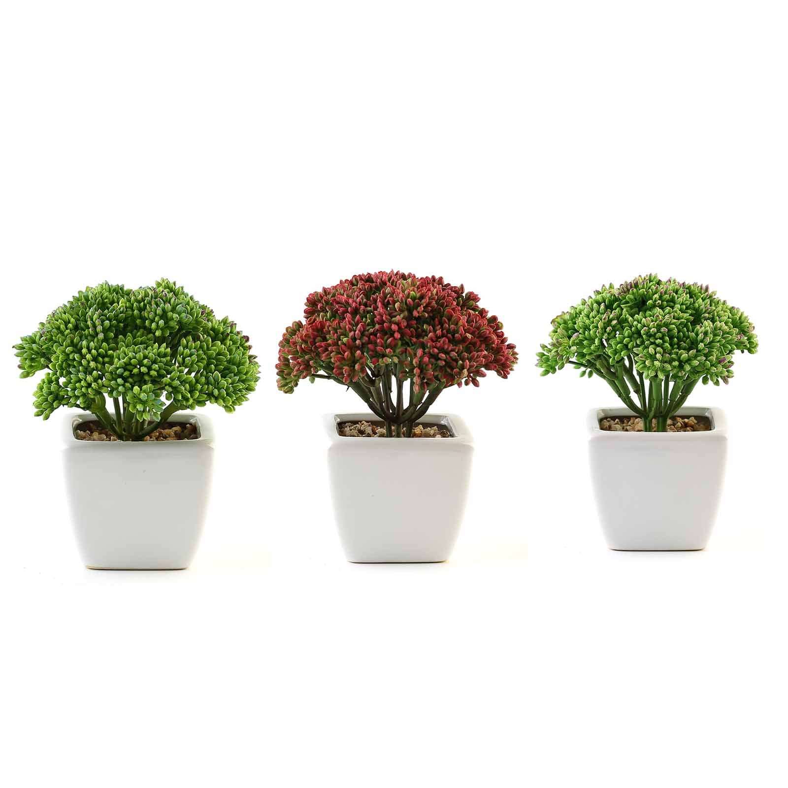 3 Pack Ceramic Planter Pot and Artificial Joy Sedum Succulent Plant 6