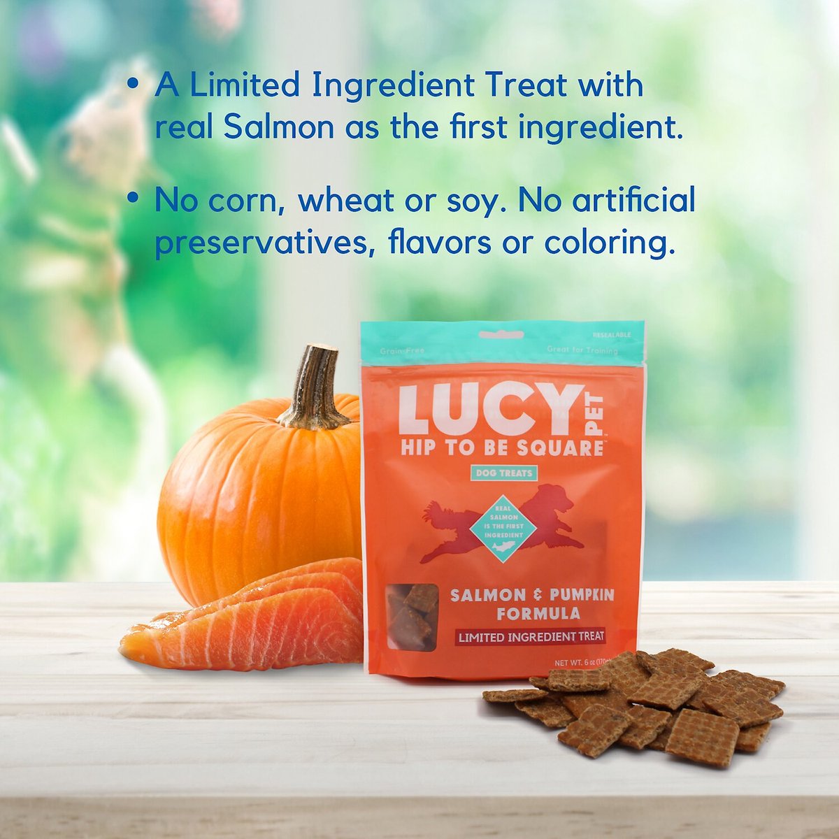 Lucy Pet Products Hip To Be Square Salmon and Pumpkin Formula Grain-Free Dog Treats