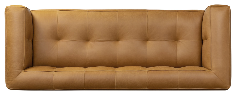 Poly and Bark Capa Sofa   Transitional   Sofas   by Edgemod Furniture  Houzz