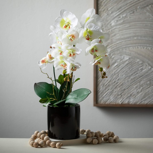 Artificial Potted Phalaenopsis Orchid