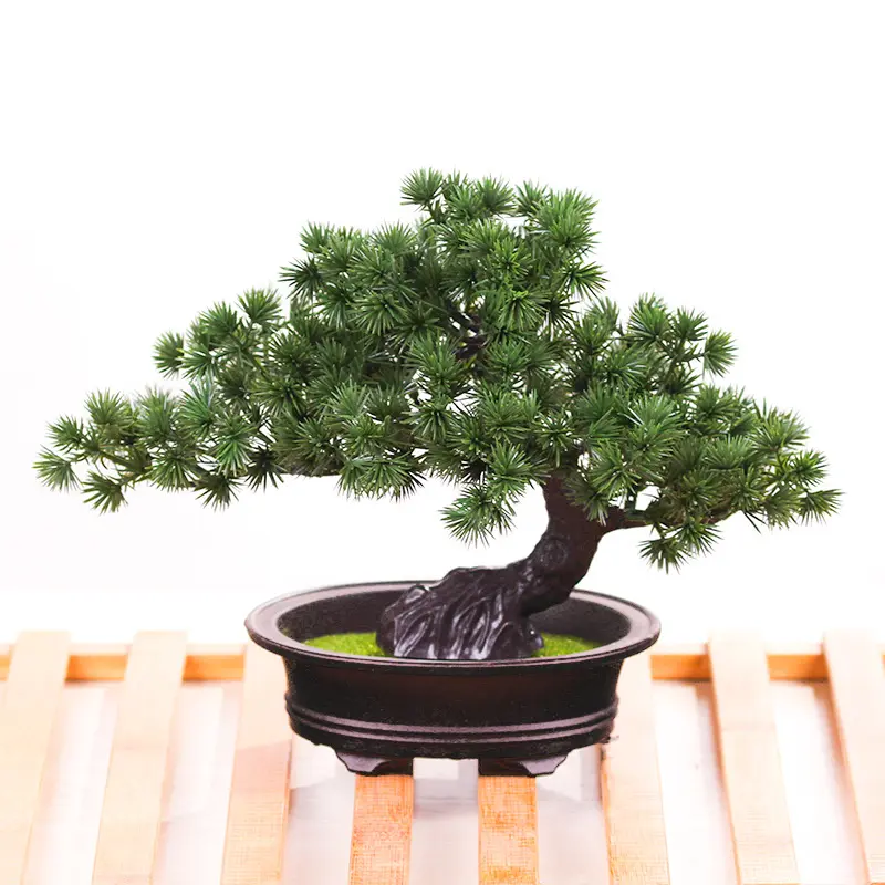 High Quality Low Cost Mini Bonsai Tree Table Decoration Plastic China Natural Carton Box Environmental Friendly ODM OEM Accepted