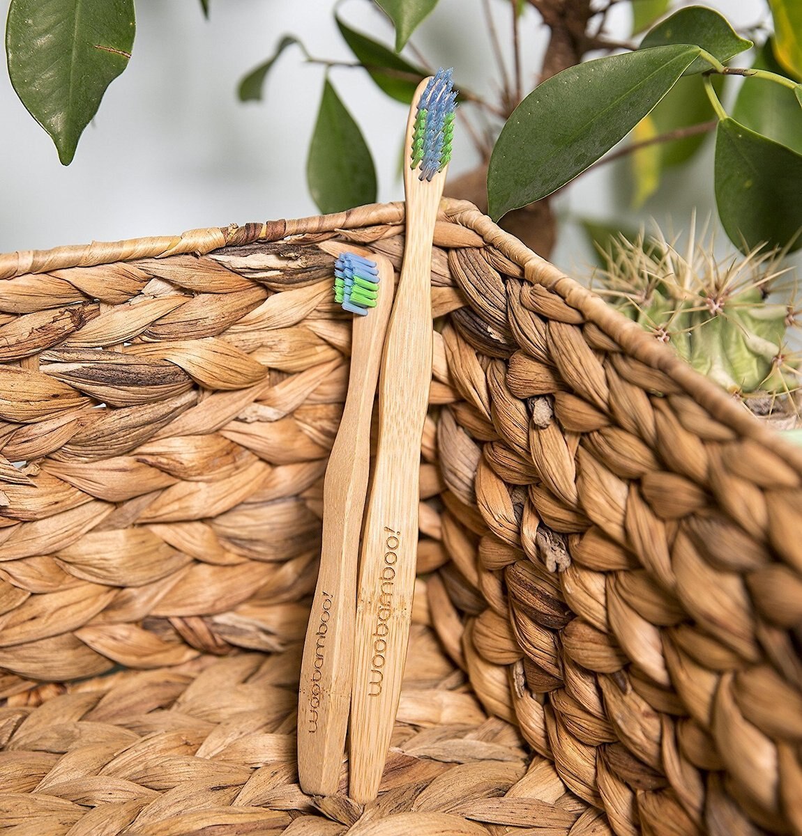 Woobamboo Small Dog and Cat Toothbrush