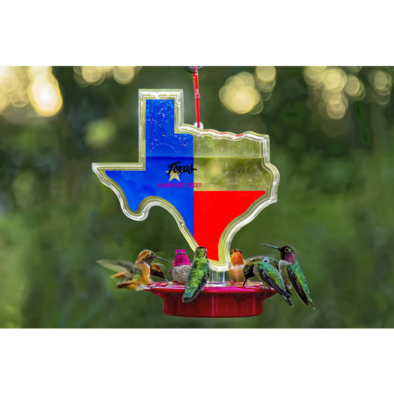 TEXAS HUMMINGBIRD FEEDER