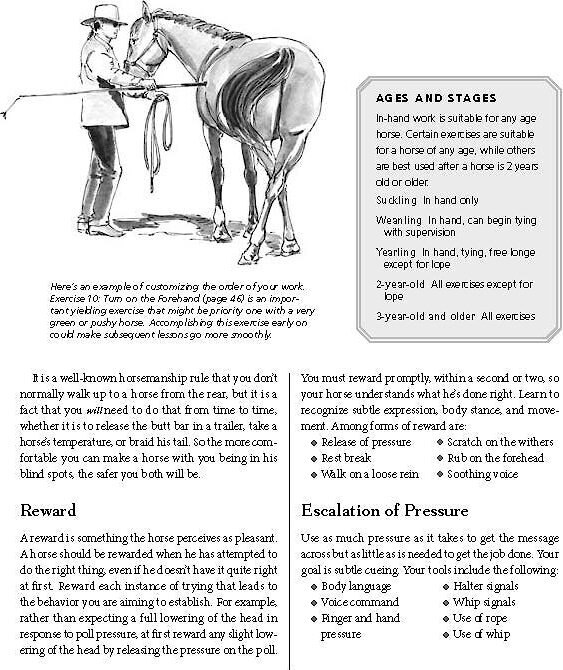 101 Ground Training Exercises for Every Horse and Handler