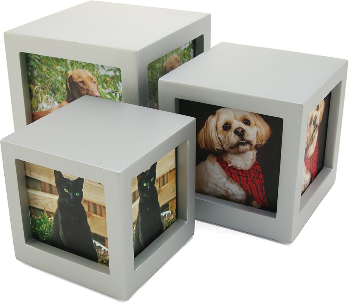 A Pet's Life Pet Photo Cube