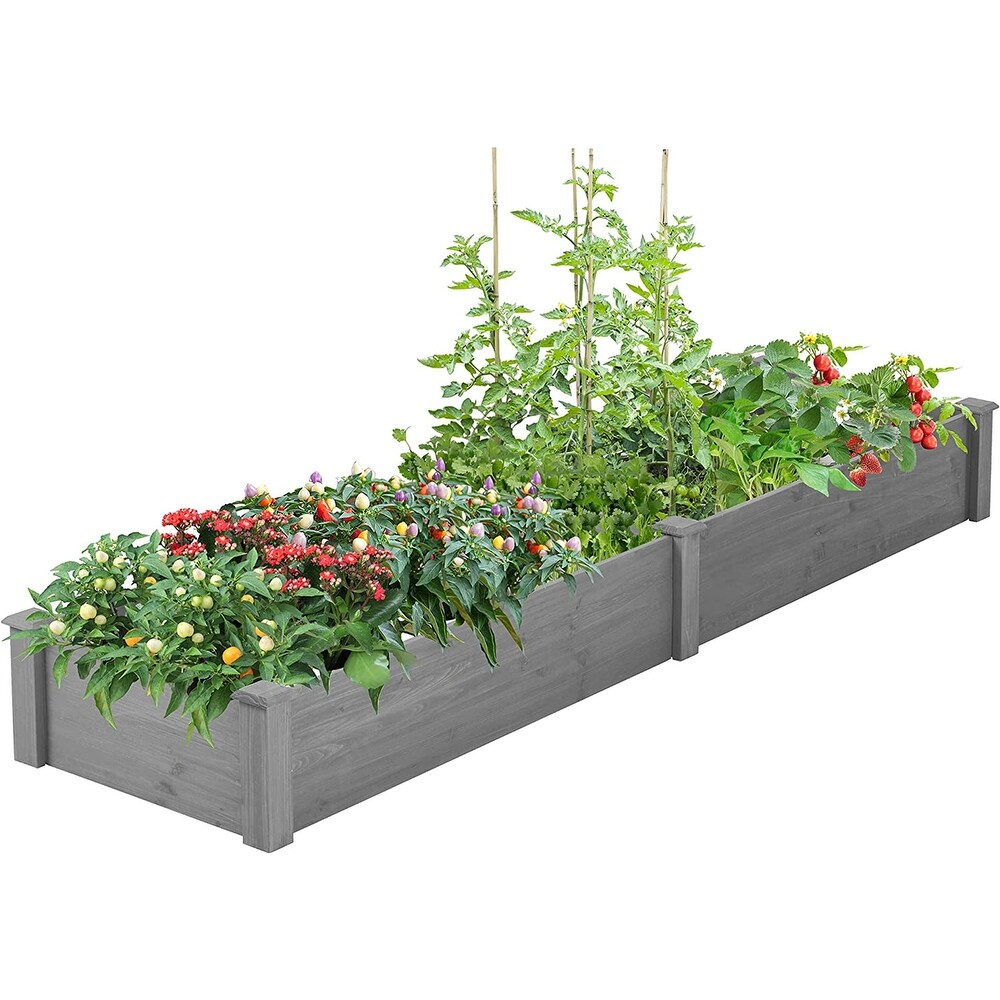 Large Long Planter Box Over Ground Raised Garden Bed