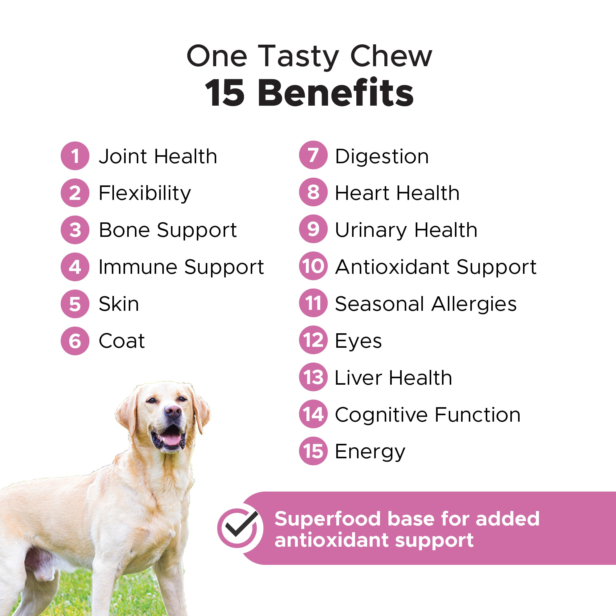 Pet Honesty Multivitamin Max Strength Soft Chews for Dogs， Count of 90