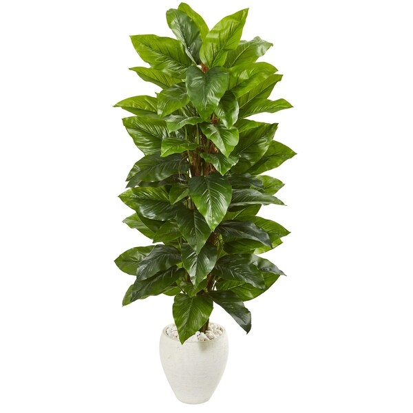 63 Large Leaf Philodendron Artificial Plant in White Planter (Real Touch)