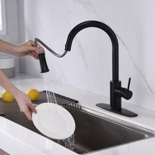 Ultra Faucets Euro Single-Handle Pull-Down Sprayer Kitchen Faucet with Accessories in Rust and Spot Resist in Oil Rubbed Bronze UF14205