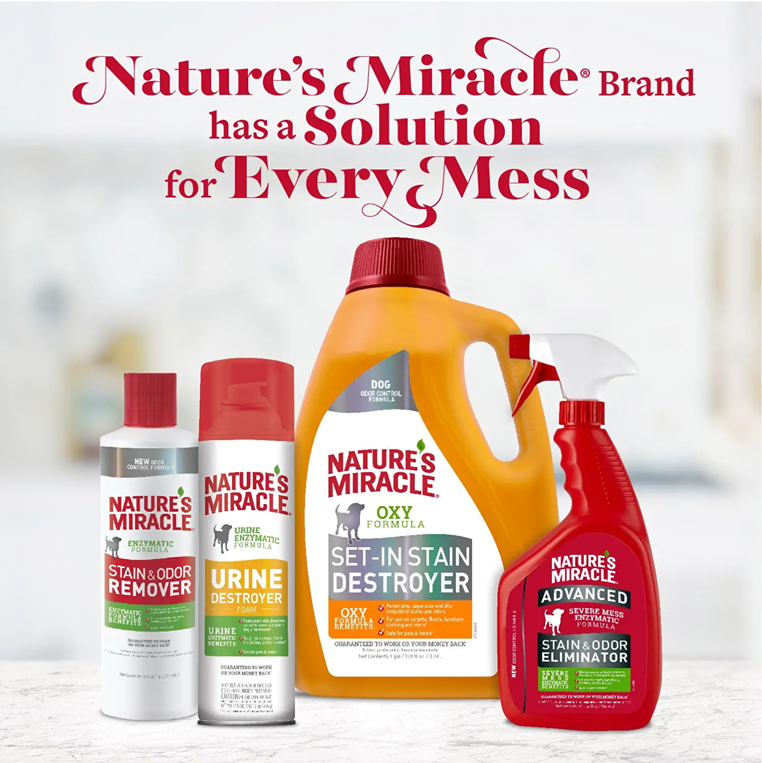 Nature's Miracle Advanced Dog Stain and Odor Remover， Accushot Spray， 1.3-gal bottle