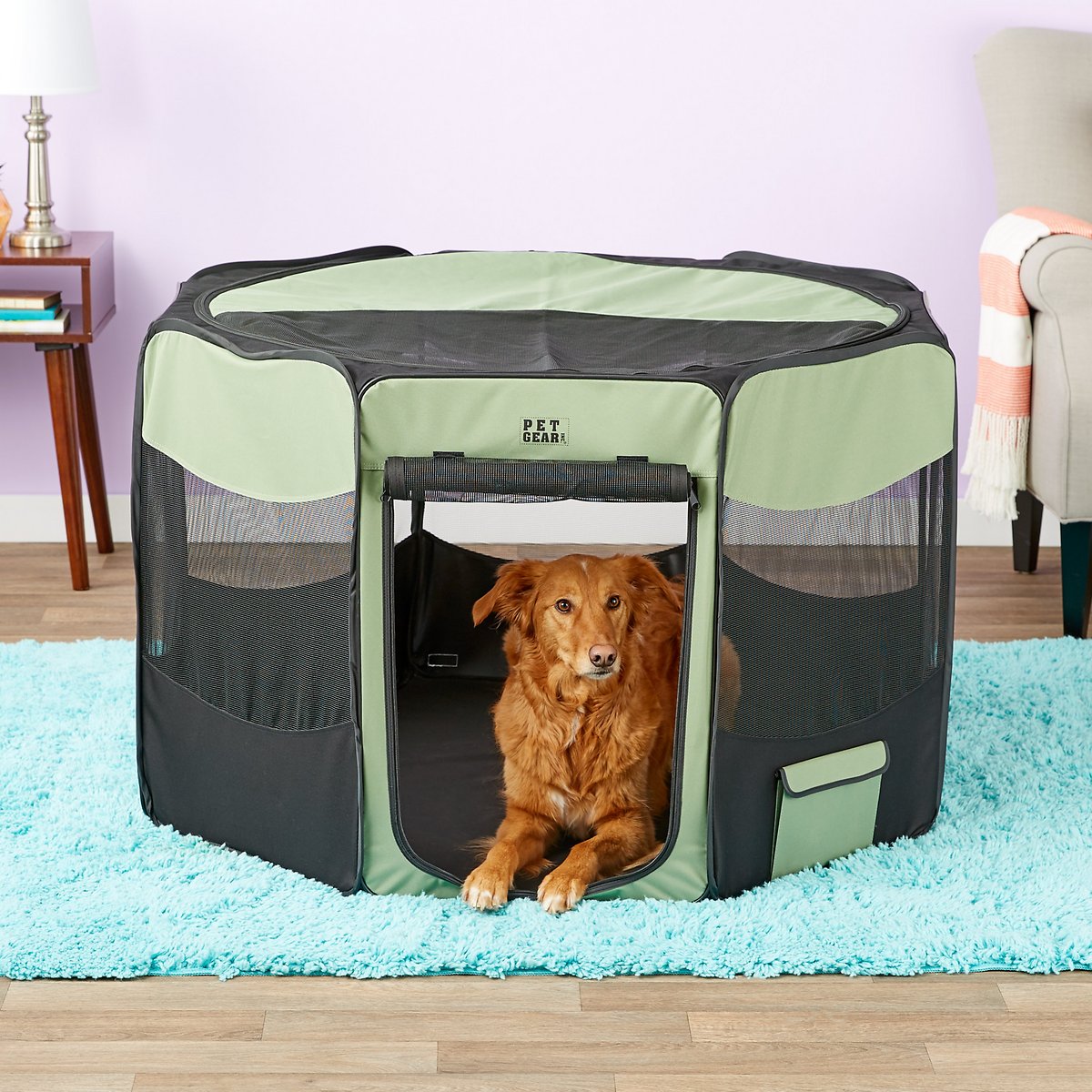 Pet Gear Travel Lite Soft-Sided Dog and Cat Pen with Removable Top， Sage， Large