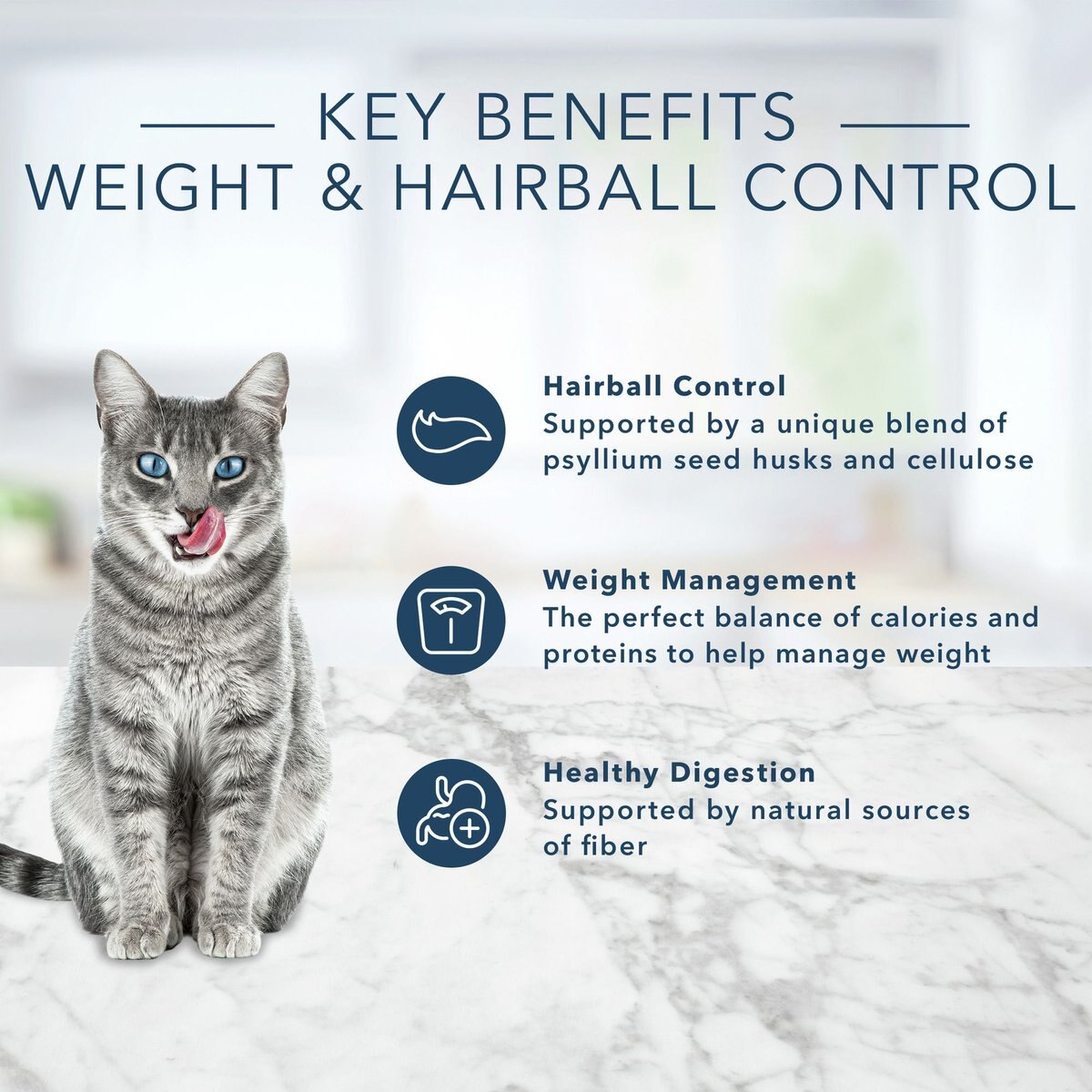 Blue Buffalo Indoor Hairball and Weight Control Chicken and Brown Rice Recipe Adult Dry Cat Food