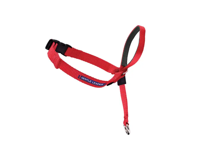 PetSafe Gentle Leader Dog Headcollar， Large， Red