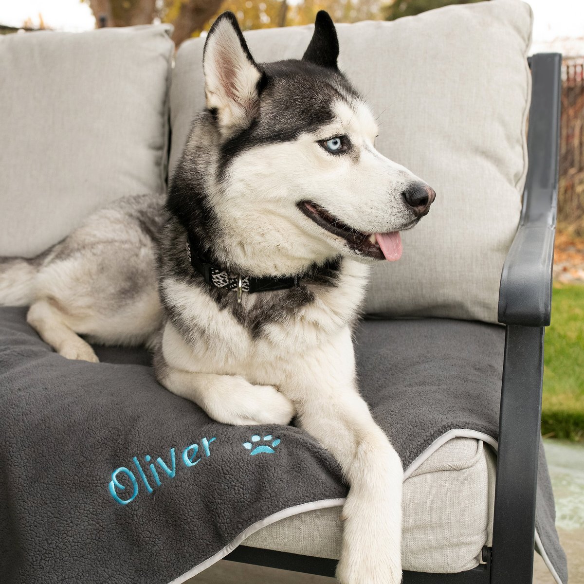 GoTags Personalized Dog Blanket