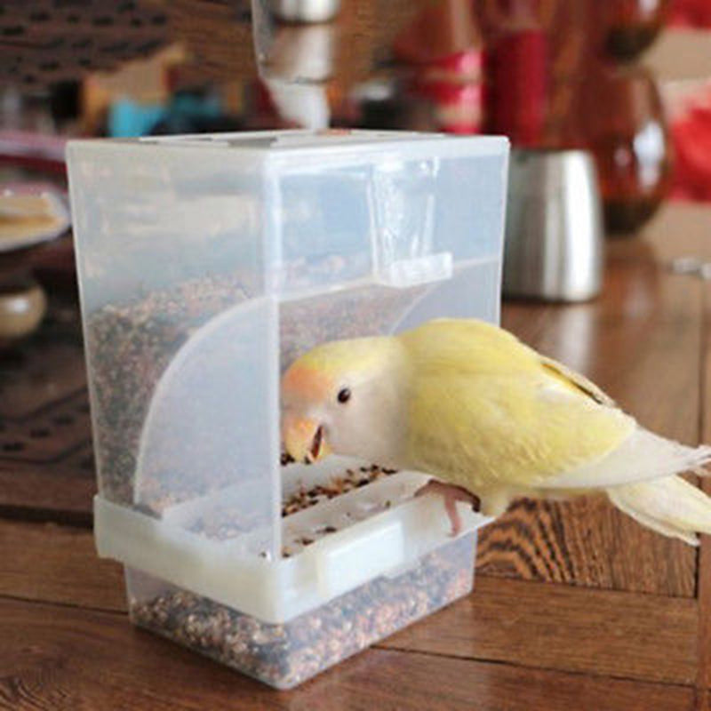 Proof Bird Poultry Feeder Automatic Acrylic Food Container Parrot Pigeon Splash