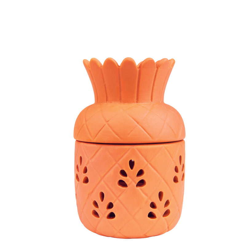 CITRONELLA CANDLE PNEAPL