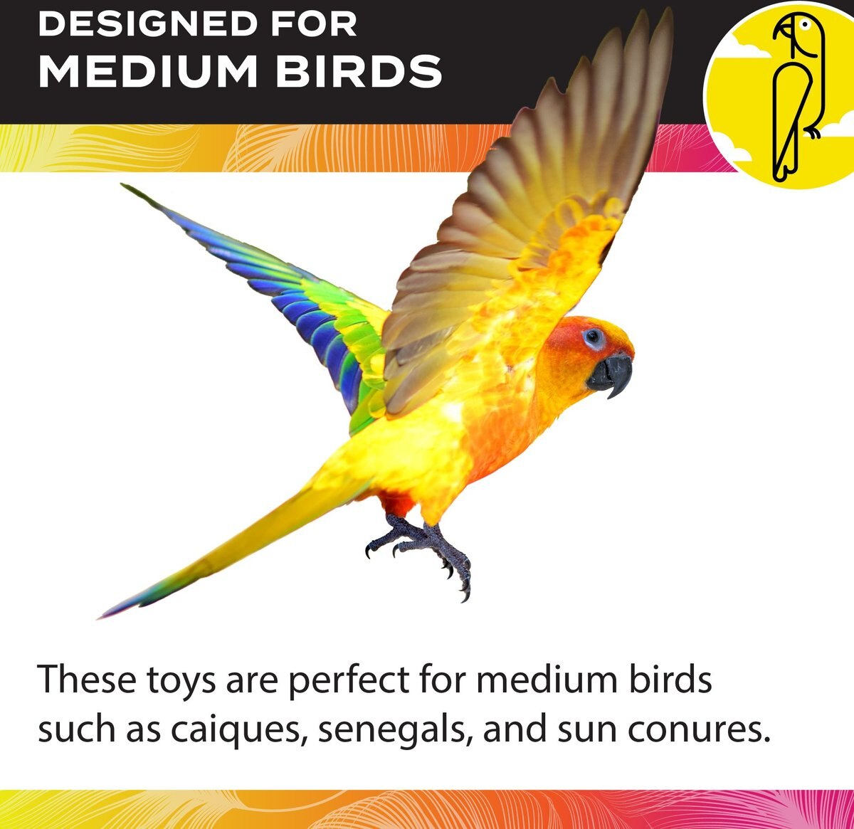 Caitec Featherland Paradise Arachnid Bird Toy， Medium