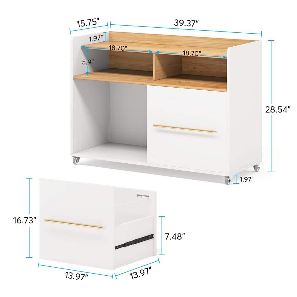 BYBLIGHT Atencio White 2-Drawer Mobile File Cabinet with Storage Shelves and Locking Casters for Home Office BB-XK00093DT