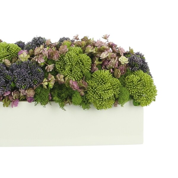 Sedum and Thistle Arranged in Rectangular Planter