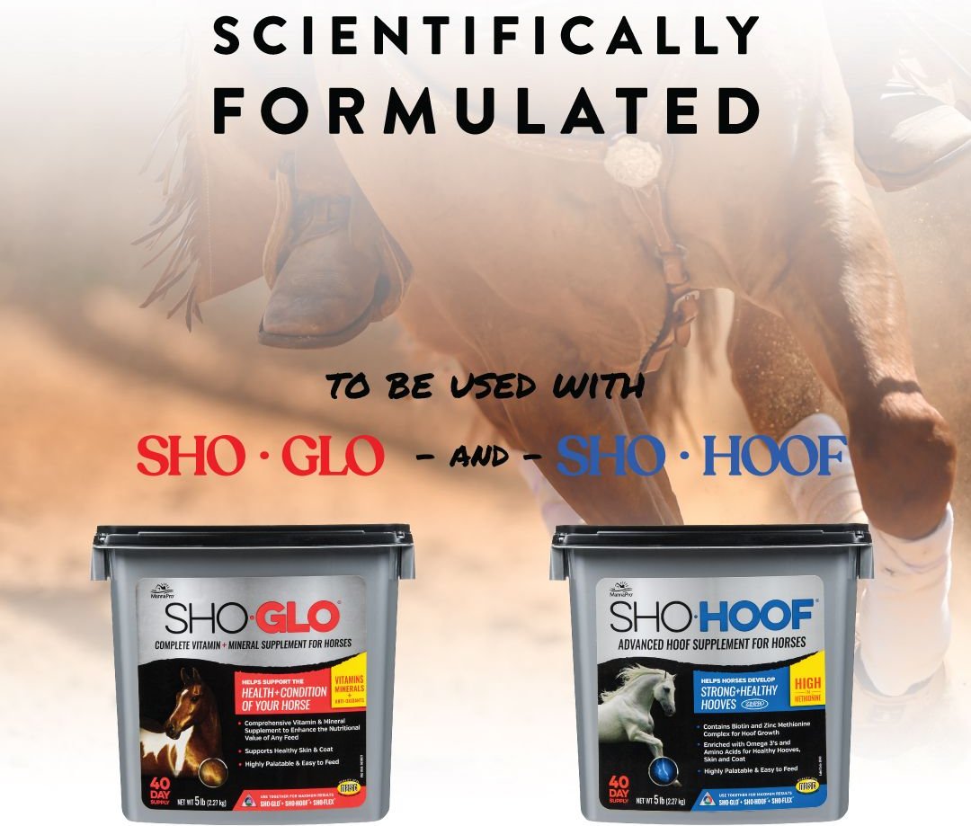 Manna Pro Sho-Flex Formulated with MSM Glucosamine and Chondroitin Horse Supplement， 5-lb bag