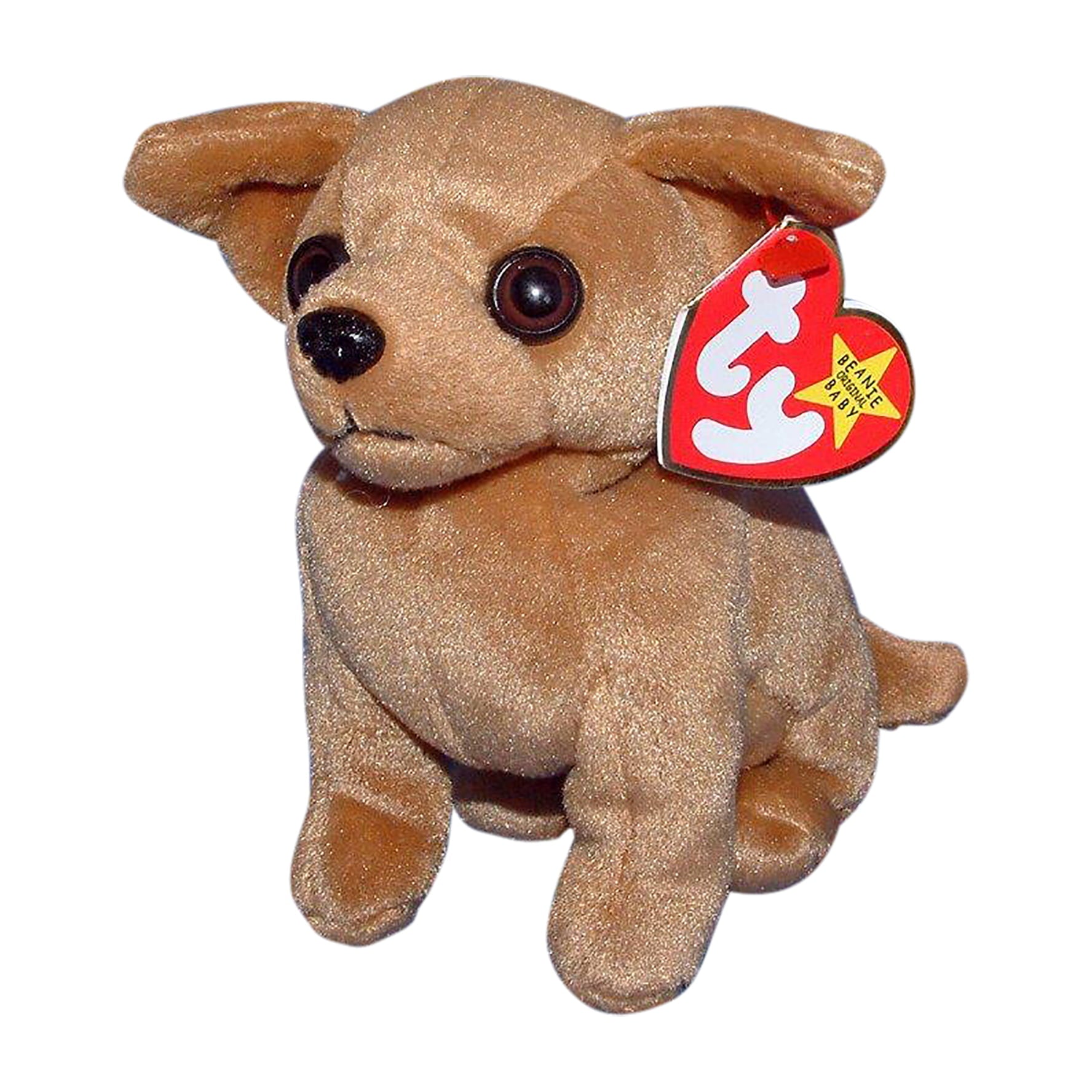 Ty Beanie Baby: Tiny the Chihuahua | Stuffed Animal | MWMT