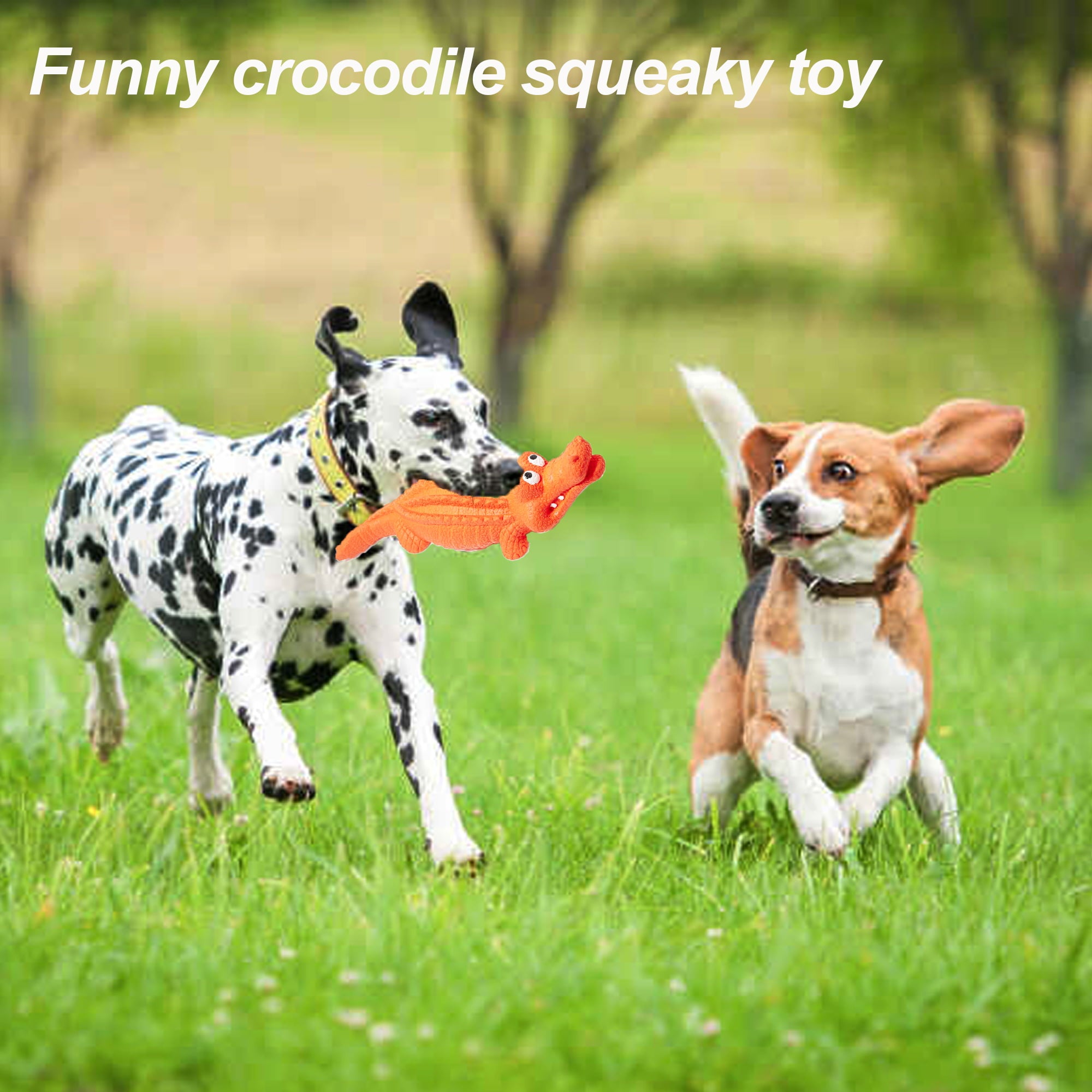 Pet Deluxe Squeaky Dog Toys for Aggressive Chewers， Indestructible Dog Toys Natural Rubber， Interactive Tough Dog Chew Crocodile Toy for Medium Large Dogs