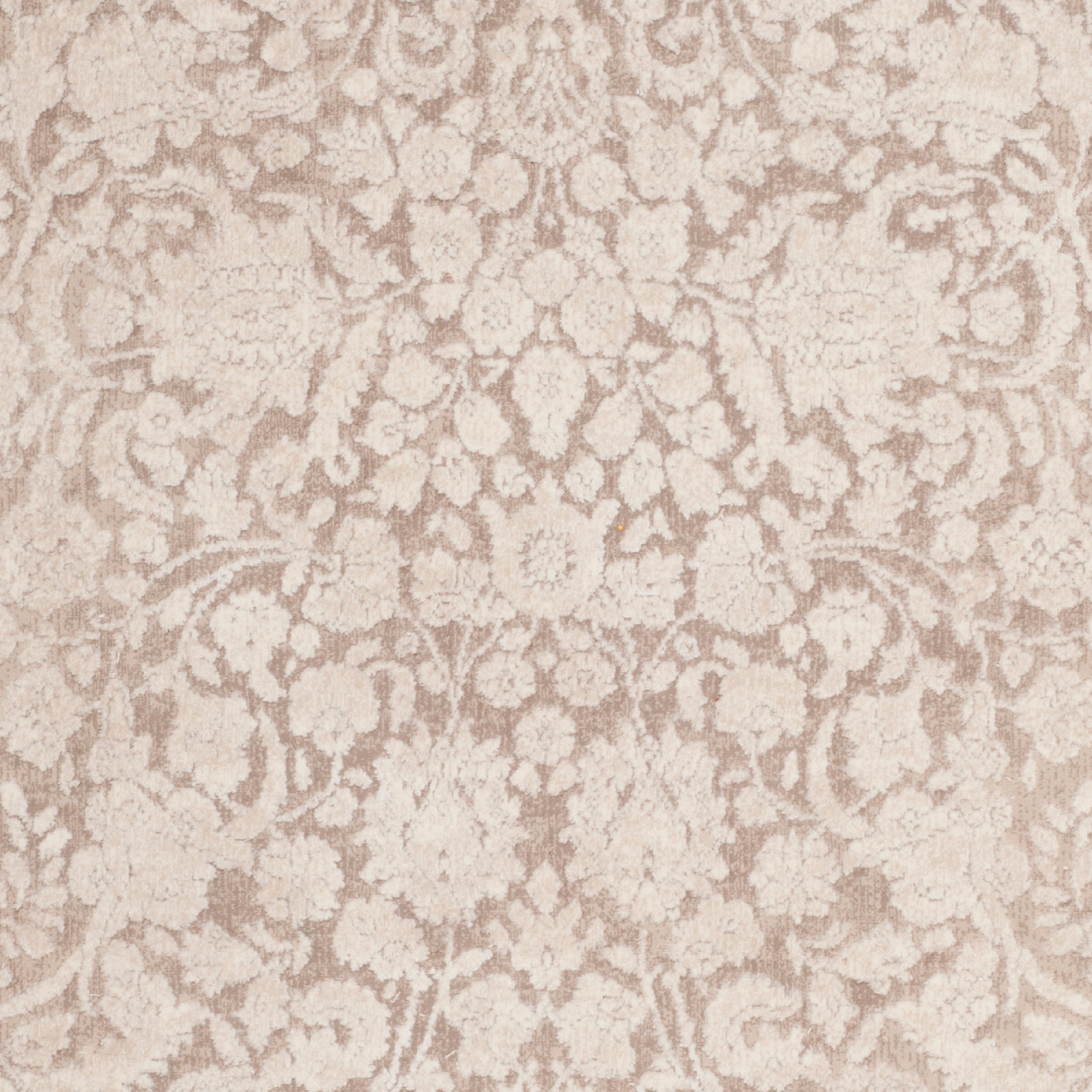 SAFAVIEH Reflection Dermot Traditional Area Rug, Beige/Cream, 5'1