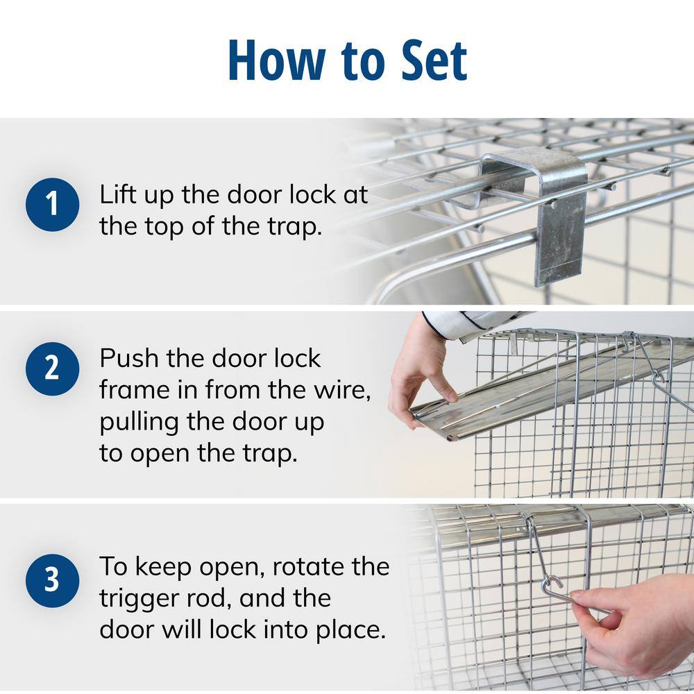 Havahart Large 1-Door Professional Live Animal Cage Trap for Raccoon Opossum Groundhog and Feral Cat 1079