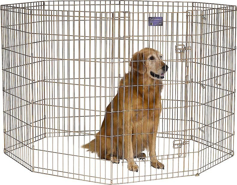 MidWest Wire Dog Exercise Pen with Step-Thru Door， Gold Zinc