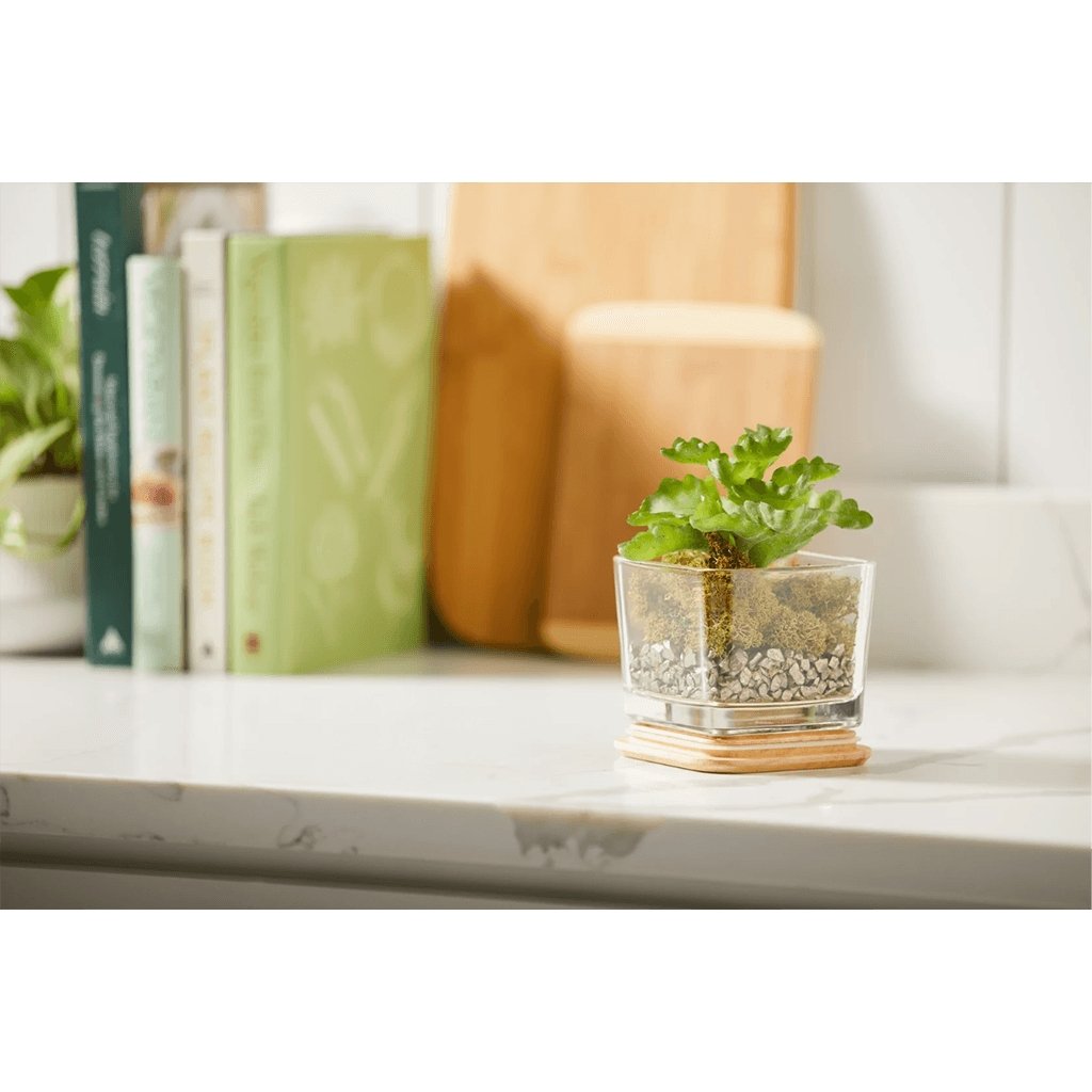 Yankee Candle  Well Living Collection - Medium Square Candle in Refreshing Eucalyptus & Mint