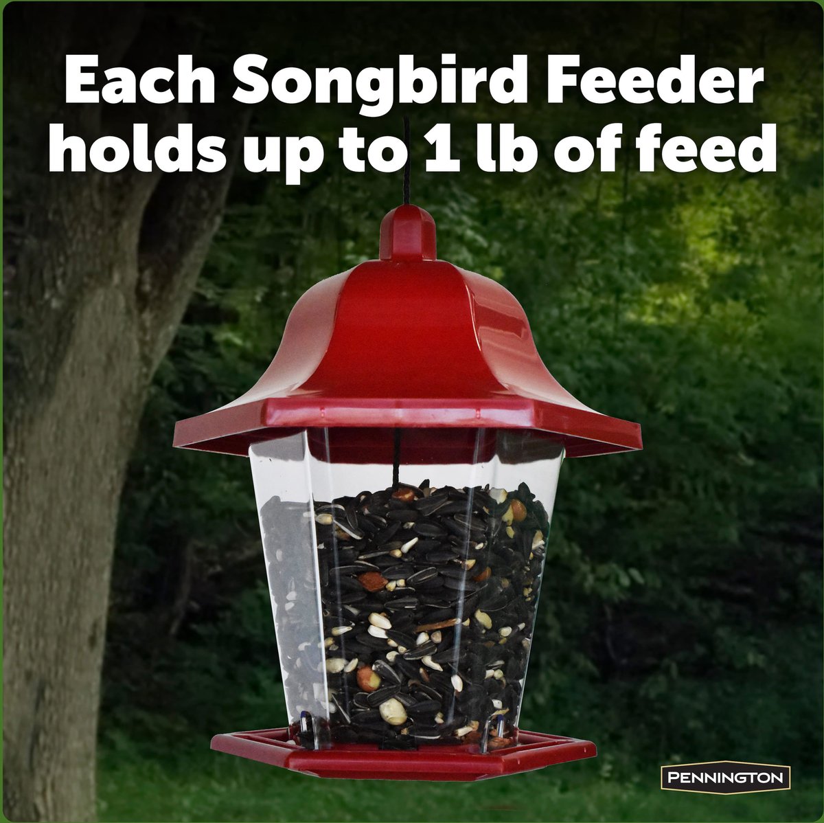 Pennington Songbird Lantern Bird Feeder